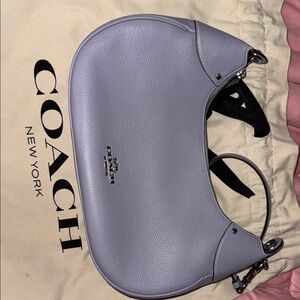 Coach Purple Leather Hobo Bag